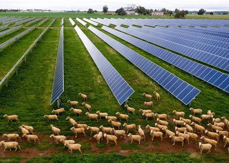 L'Italie formule de nouvelles réglementations pour l'industrie photovoltaïque agricole innovante